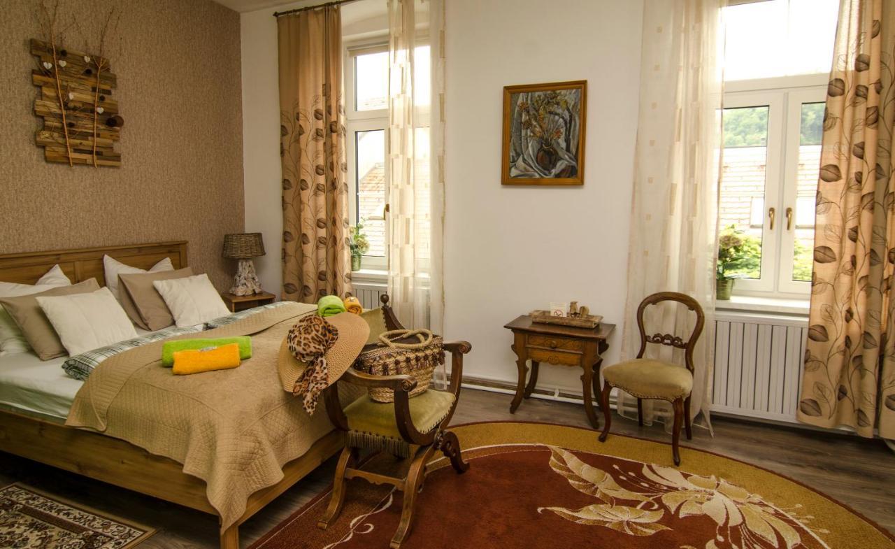 Laško Trubarjev Art Boutique Hotel מראה חיצוני תמונה