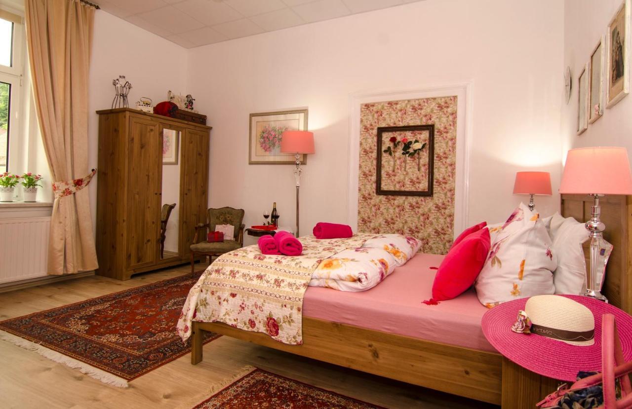 Laško Trubarjev Art Boutique Hotel מראה חיצוני תמונה